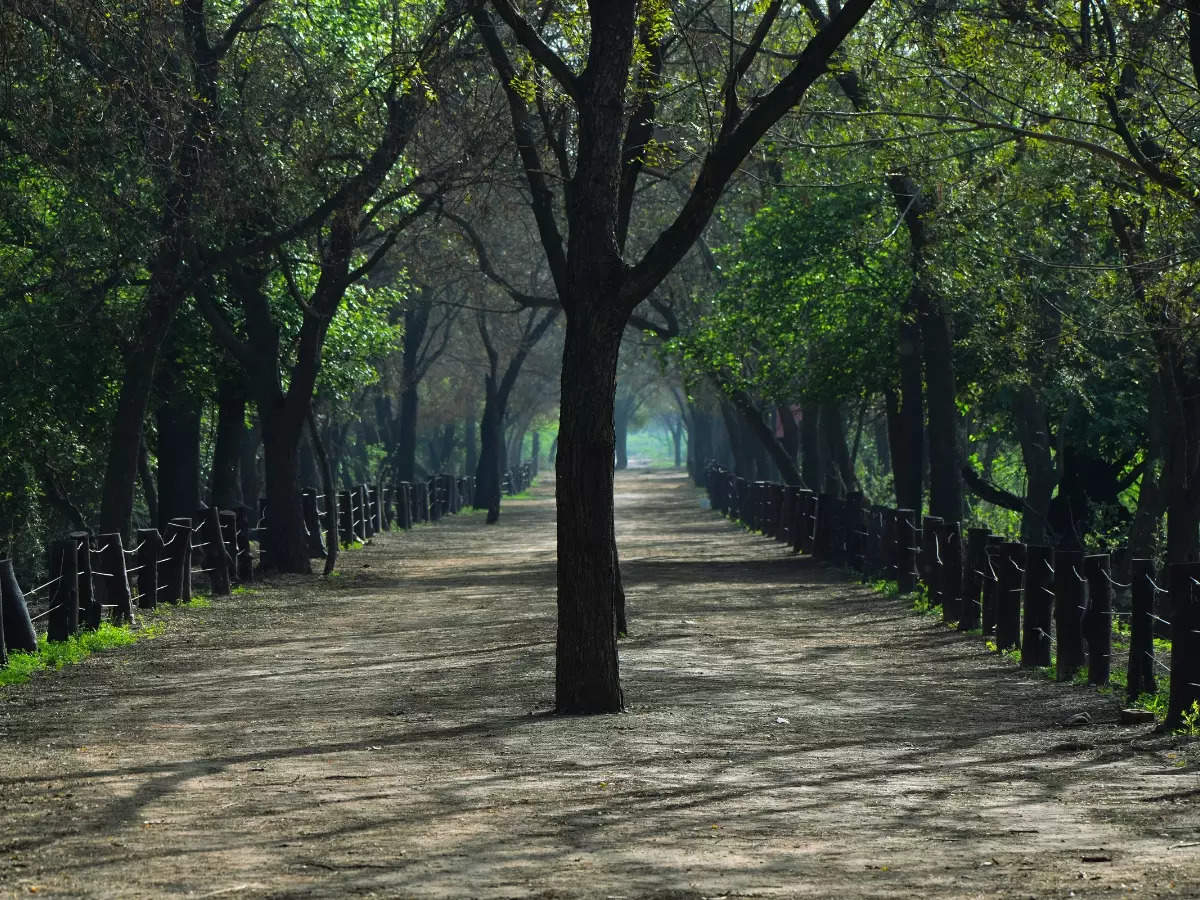 Think you know Delhi? This national park, less than 50 km away, is a perfect nature retreat