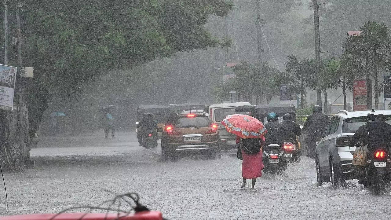 Heavy rains lash Tamil Nadu, 8 flights cancelled