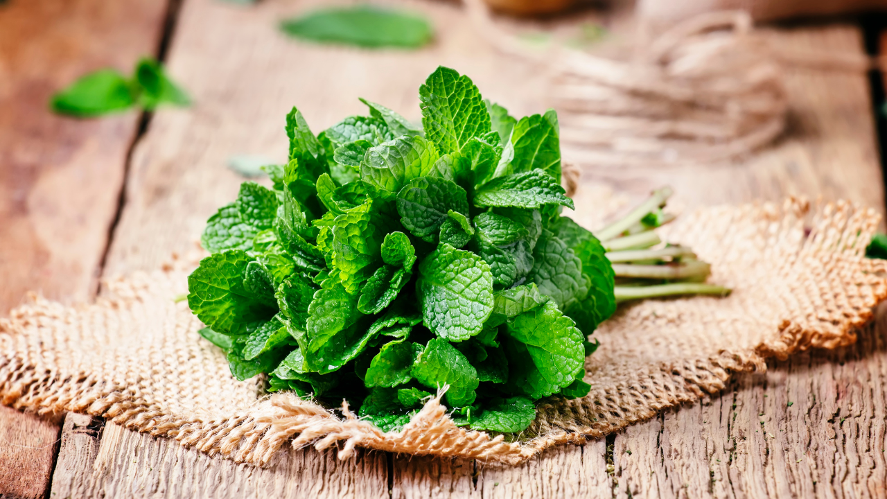 Mint leaves: Powerful benefits you must know