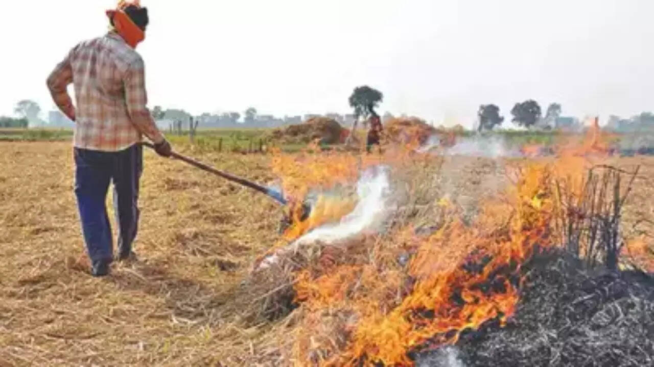 Stubble burning: SC slams Haryana, Punjab, summons chief secretaries
