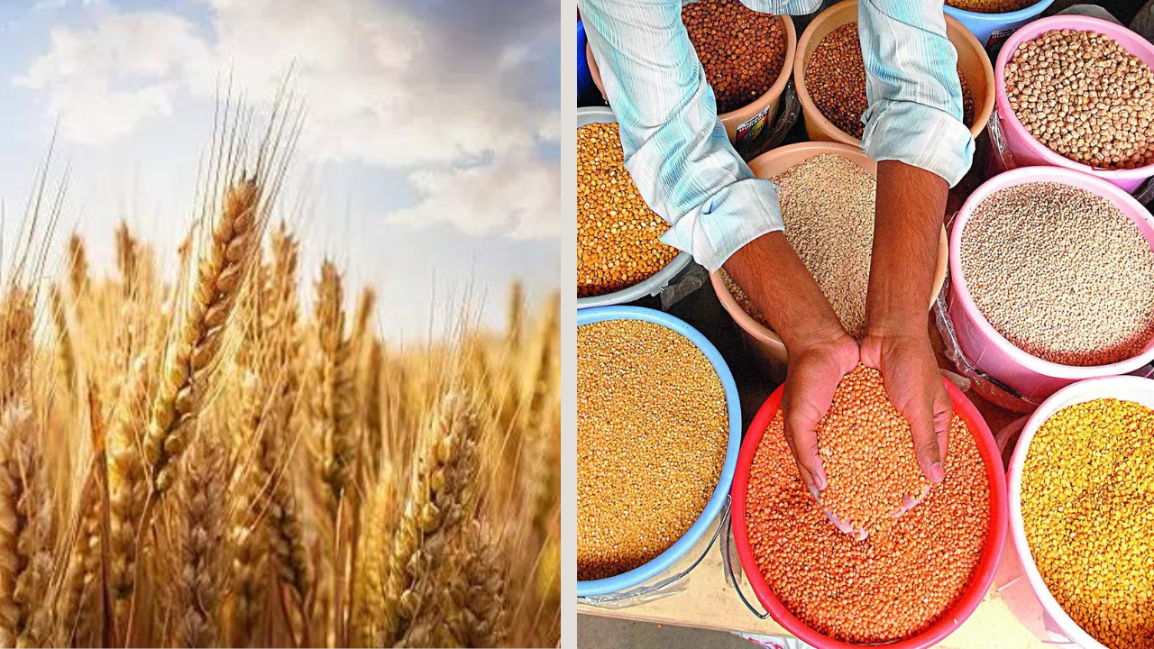 Centre approves MSP for 6 Rabi crops for marketing season 2025-26; wheat now Rs 2,425 per quintal