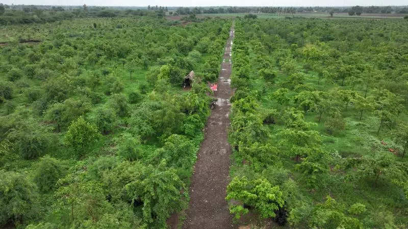 Vijayapura’s Mamadapura forest is 5th biodiversity heritage site of Karnataka