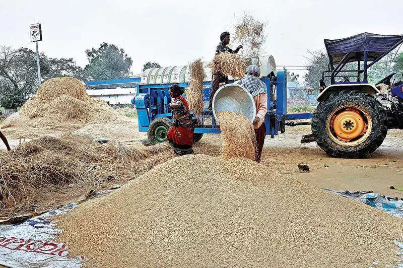 No paddy for millers who defaulted: Cabinet panel