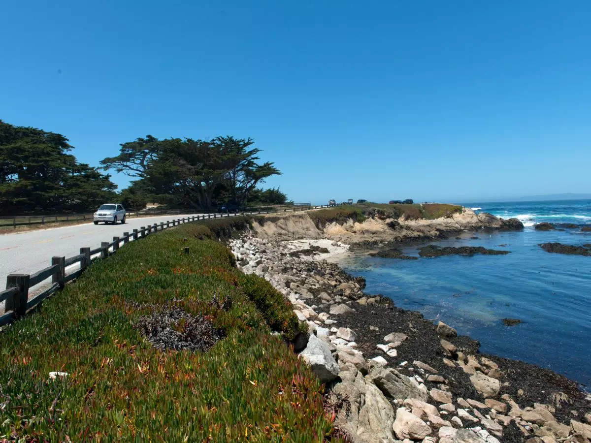 Coastal Getaways: A scenic road trip through California’s Central Coast