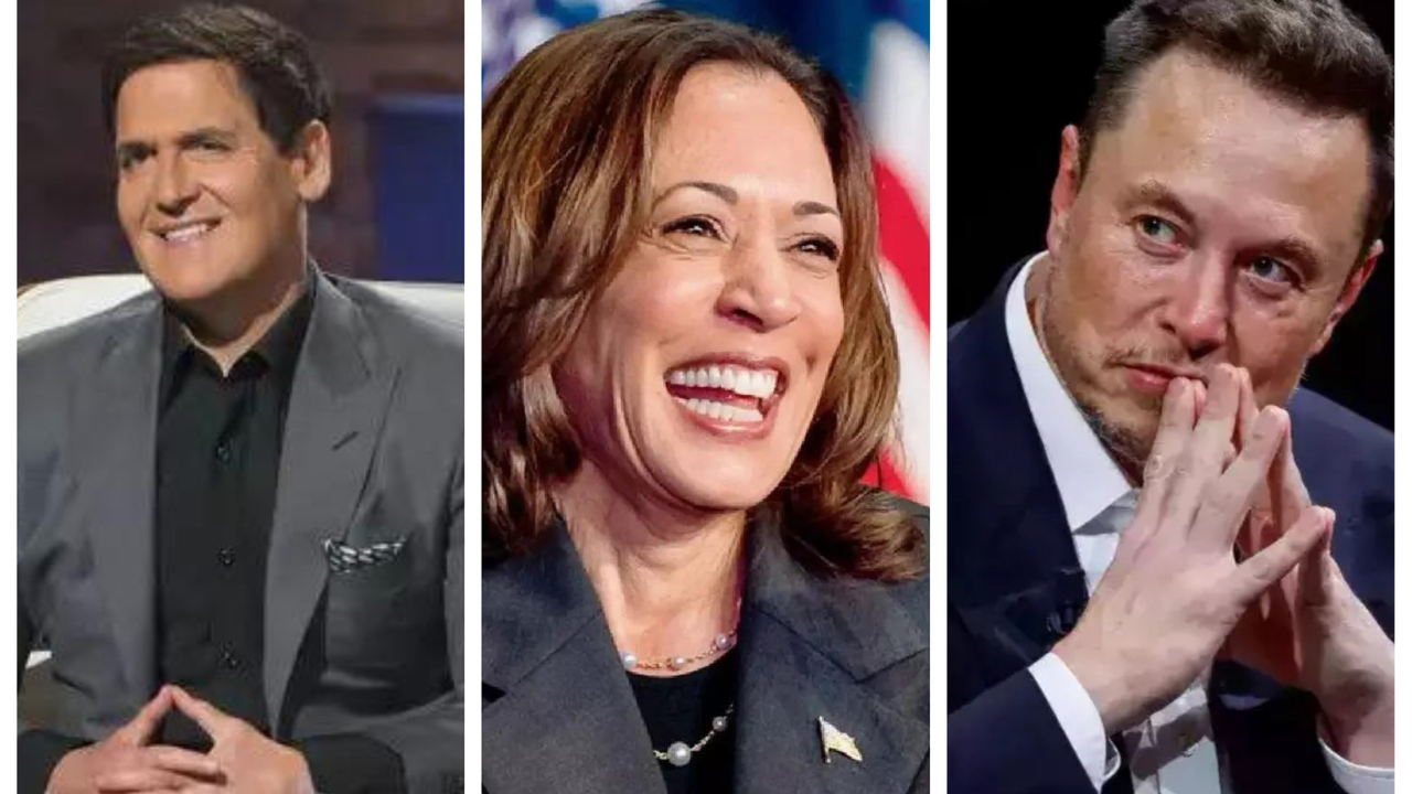 Mark Cuban wanted Elon Musk and Kamala Harris to be friends. Then this happened...