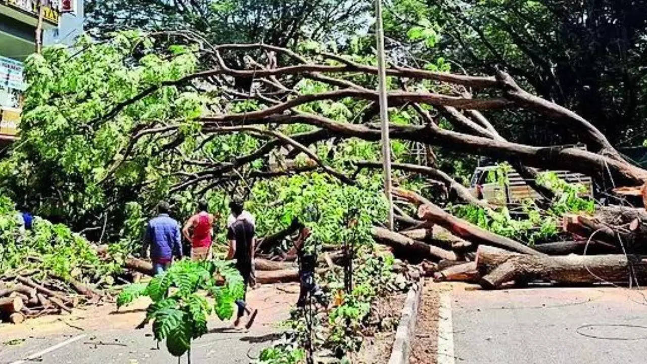 Bengaluru rain:  woman dies as mini-truck hits scooter dodging potholes