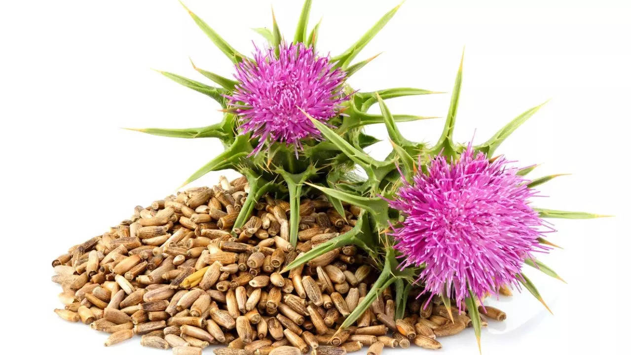 Milk Thistle: Why it is considered the ultimate liver reviver