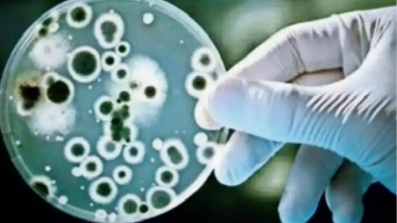 Water in 75% Chennai homes has diarrhoea-causing bacteria: IIT-Madras