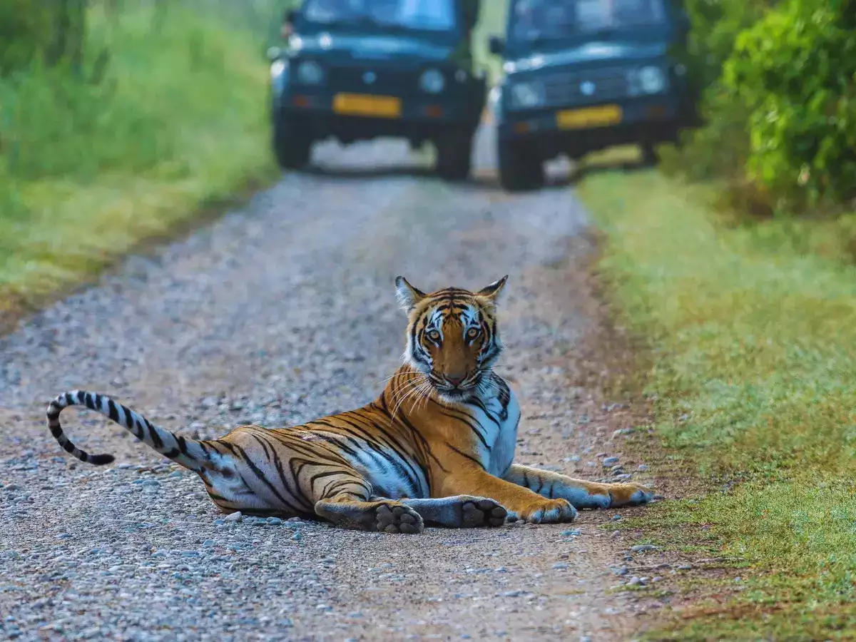 10 reasons why Jim Corbett National Park is an icon