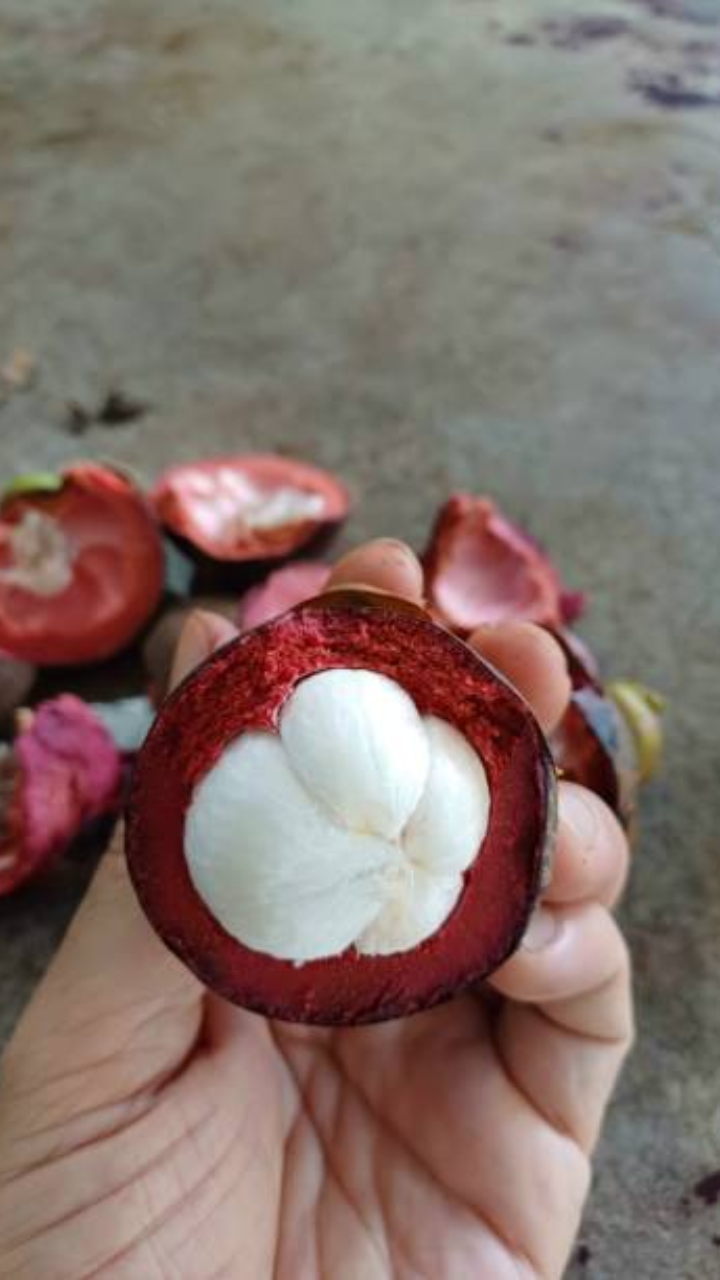 ​Mangosteen: 10 reasons to eat this nutritious fruit