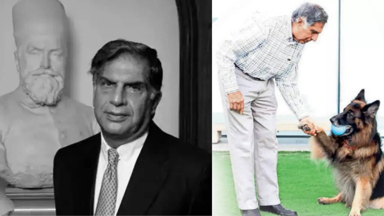 ‘Unlimited’ care for pet dog Tito, share for butler in Ratan Tata will