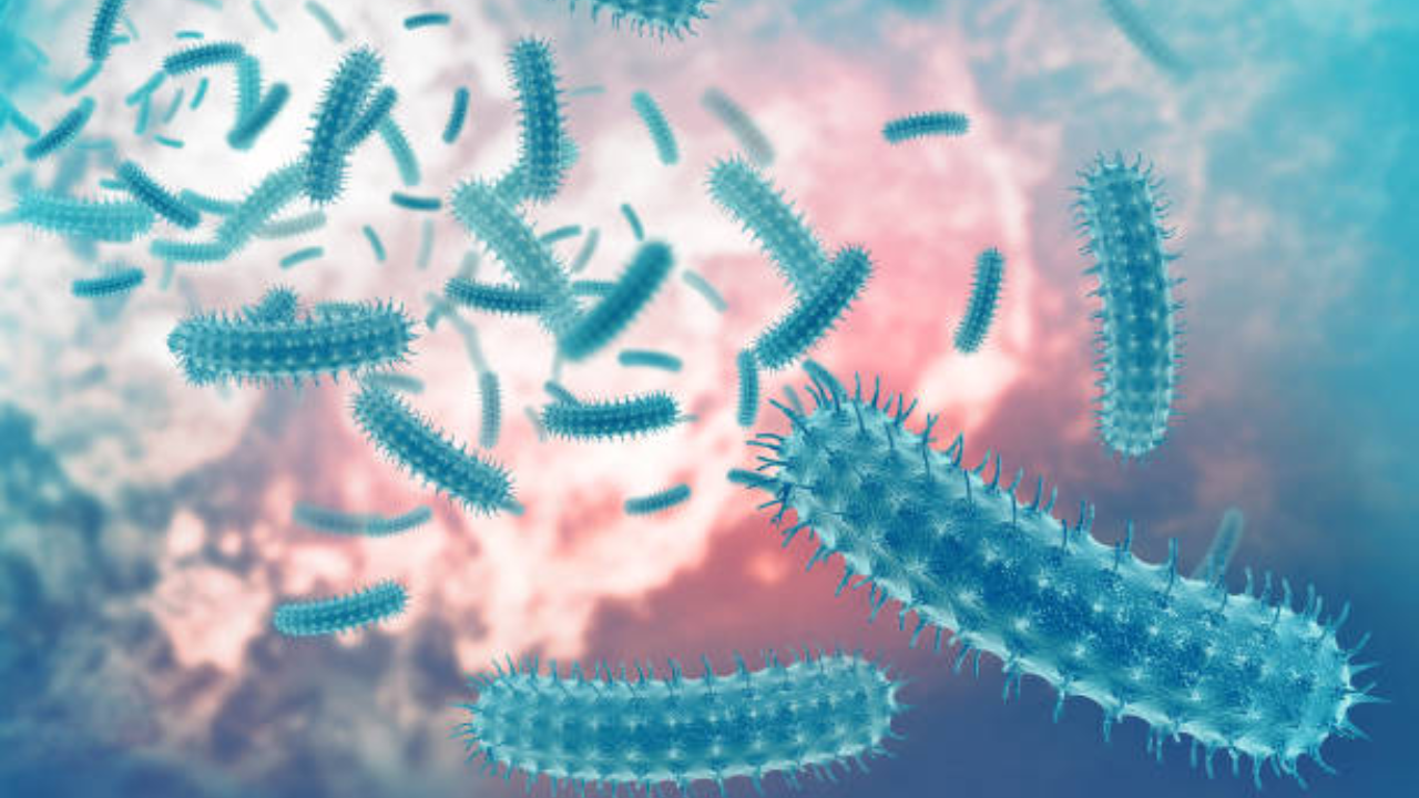 Can the common E.coli bacteria found in the gut cause Parkinson’s disease?