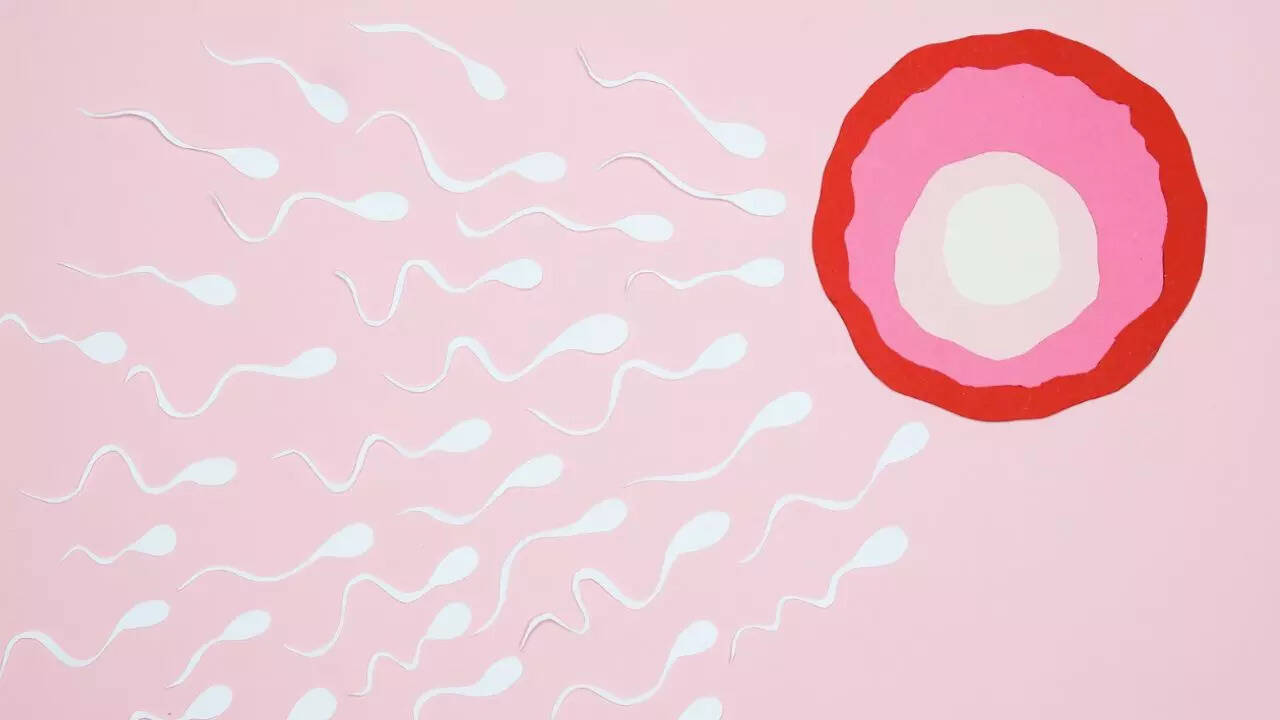 sperm