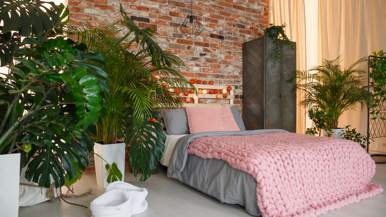 6 health benefits of keeping an indoor plant in your bedroom