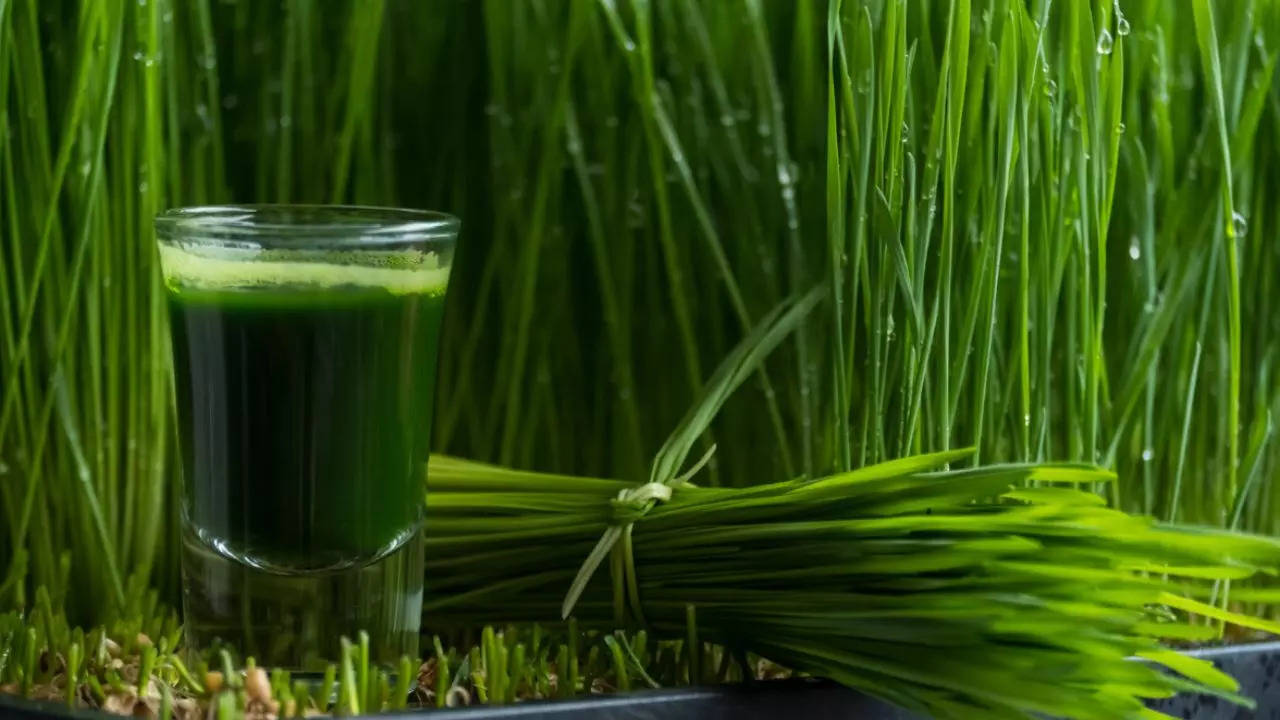 6 Incredible benefits of a daily teaspoon of wheatgrass