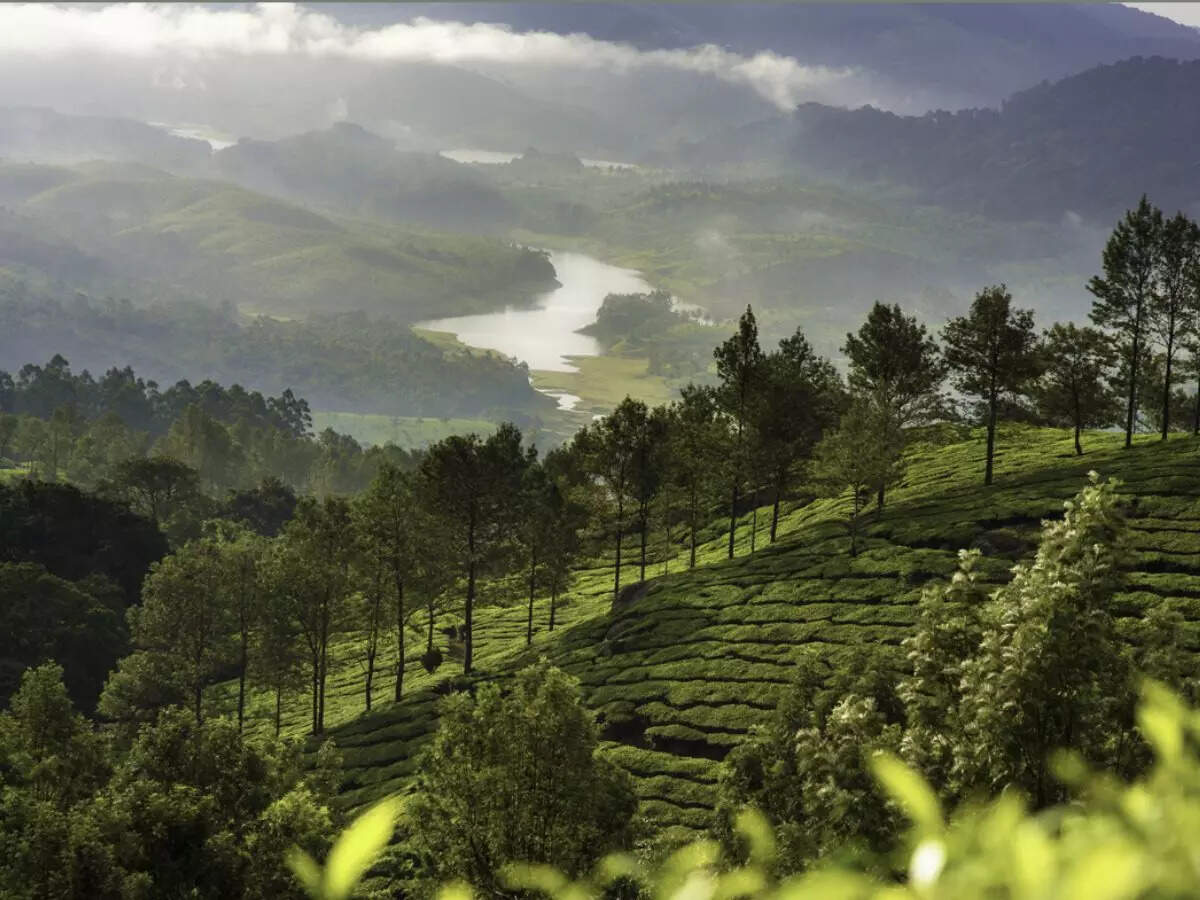 Hill stations near Kerala to visit in November and December