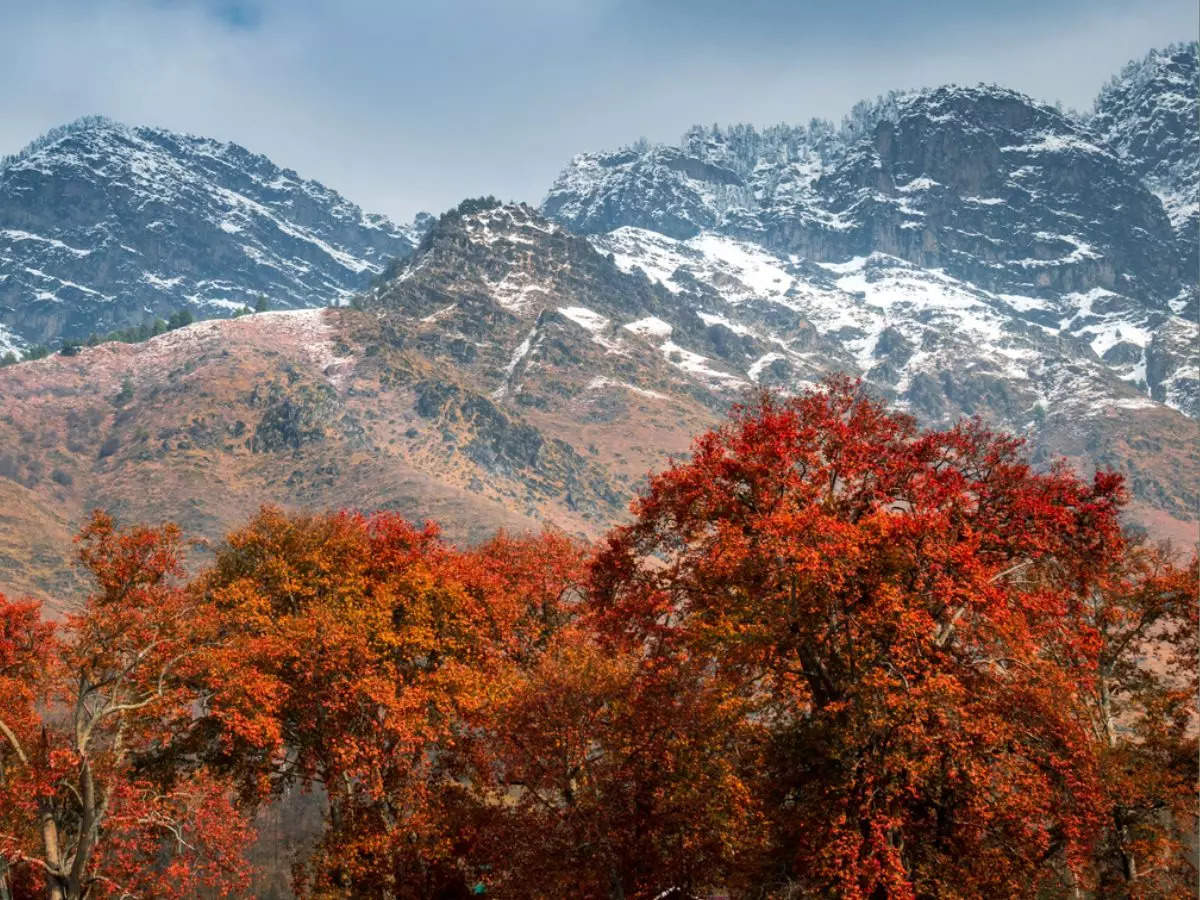 November in Kashmir: 8 must-have experiences for nature lovers