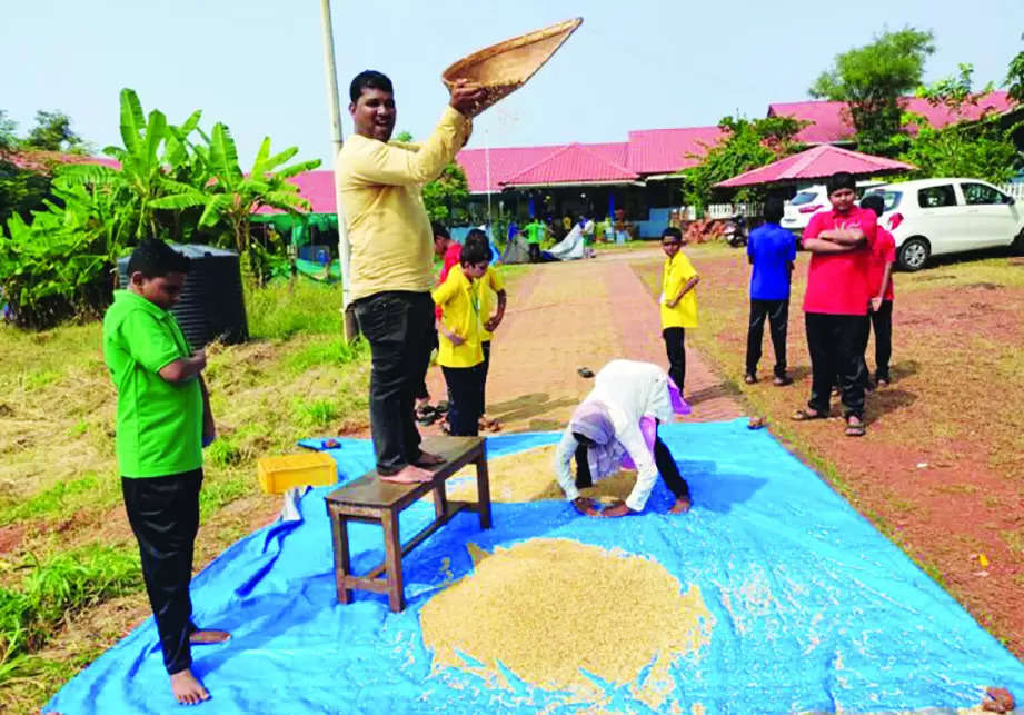 In a Khola school, students sow, grow, and harvest paddy