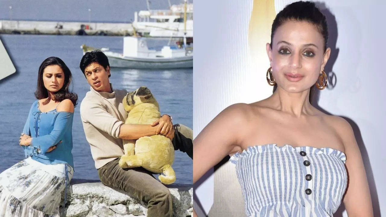 Ameesha: Was offered SRK's Chalte Chalte, declined it...