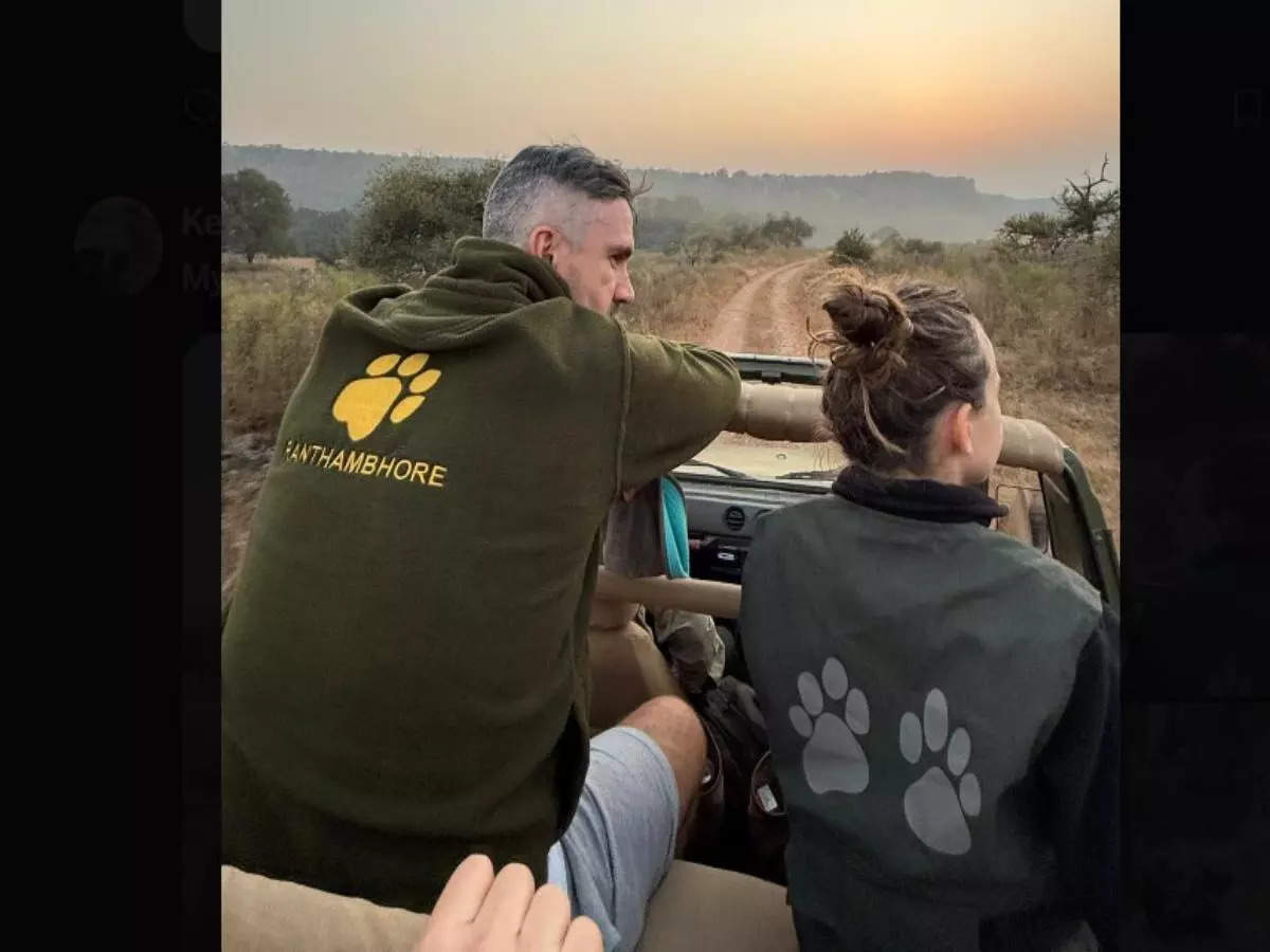 Kevin Pietersen’s jungle safari in Ranthambore National Park; pics and videos go viral