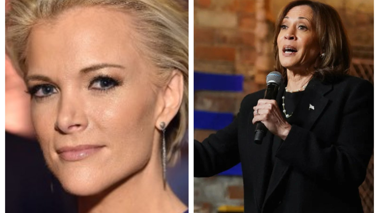 'Dark day': Megyn Kelly predicts chaos under Harris' potential presidency