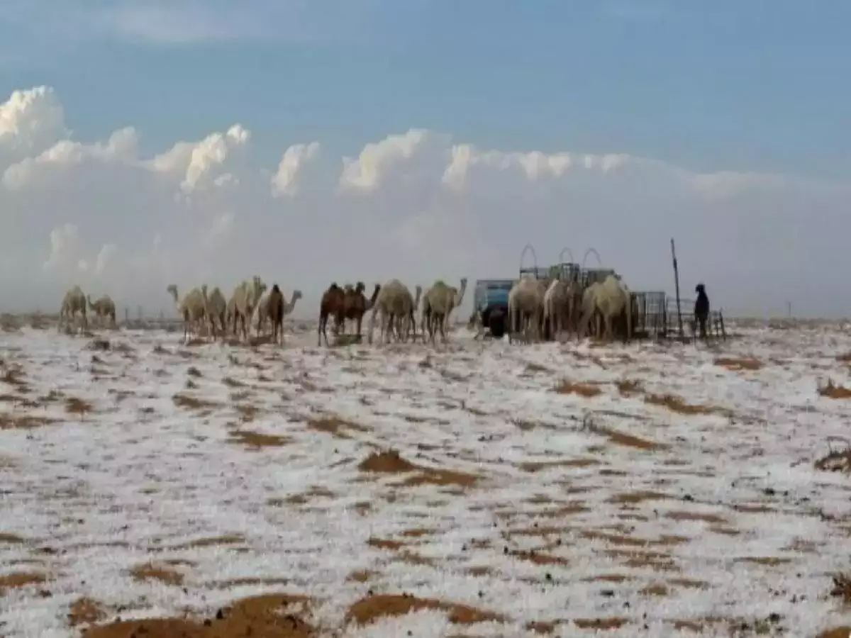 Saudi Arabian desert sees snowfall for the first time in history