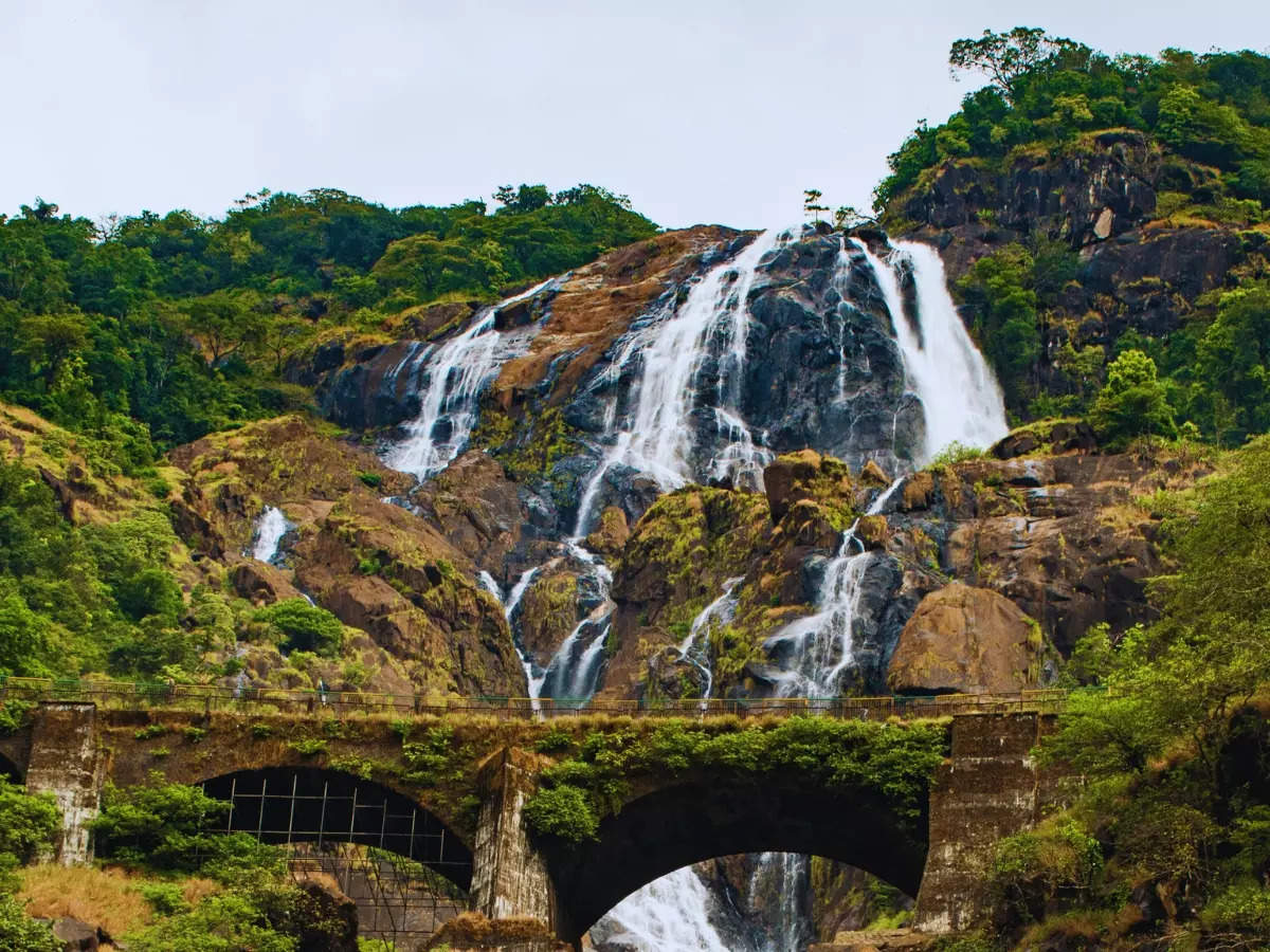 Dudhsagar Waterfall tours finally resume – 5 reasons to include this on your Goa itinerary