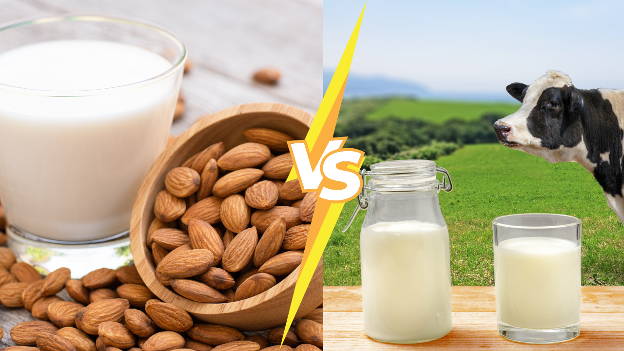 Nut milk vs. dairy milk: Which is best for you?