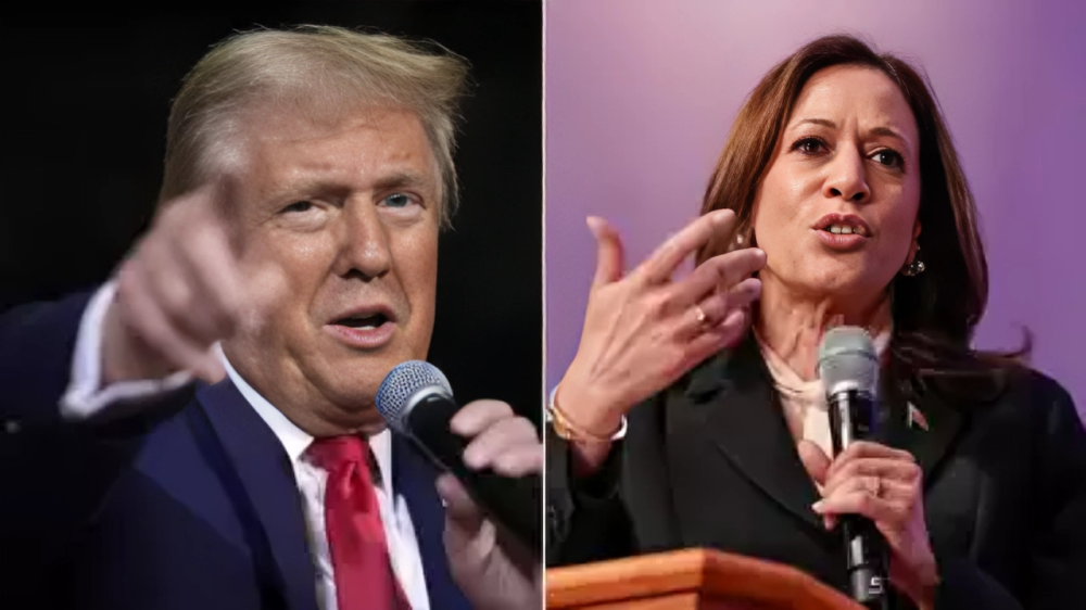 Trump vs Harris; Who won which state?