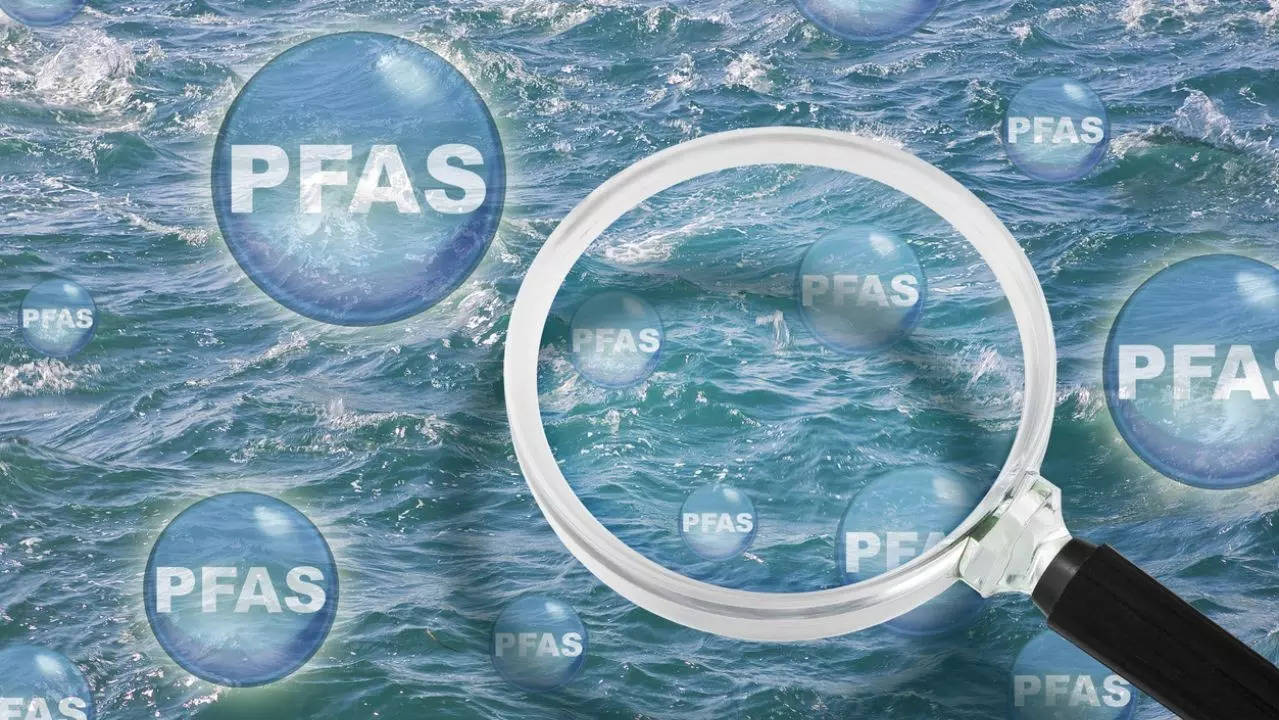 PFAS chemicals may cut kidney function by 50%, harm gut health: Study