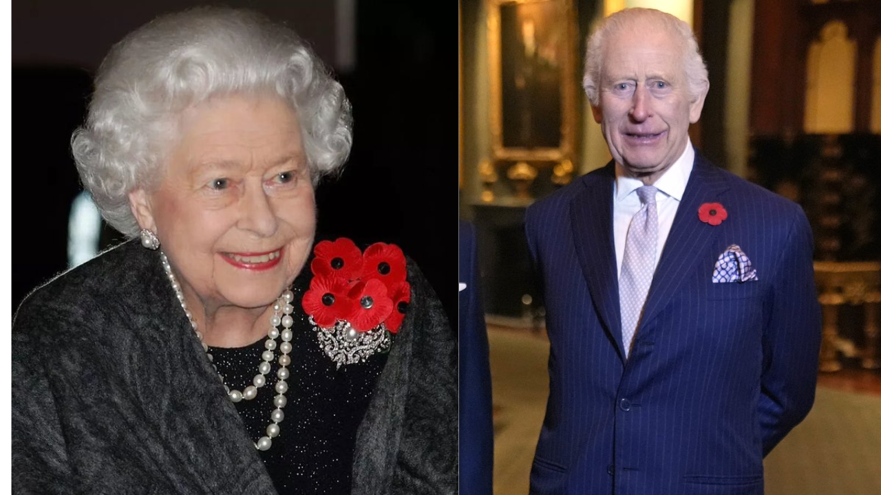 Why the British Royal family wear red poppy pins in November