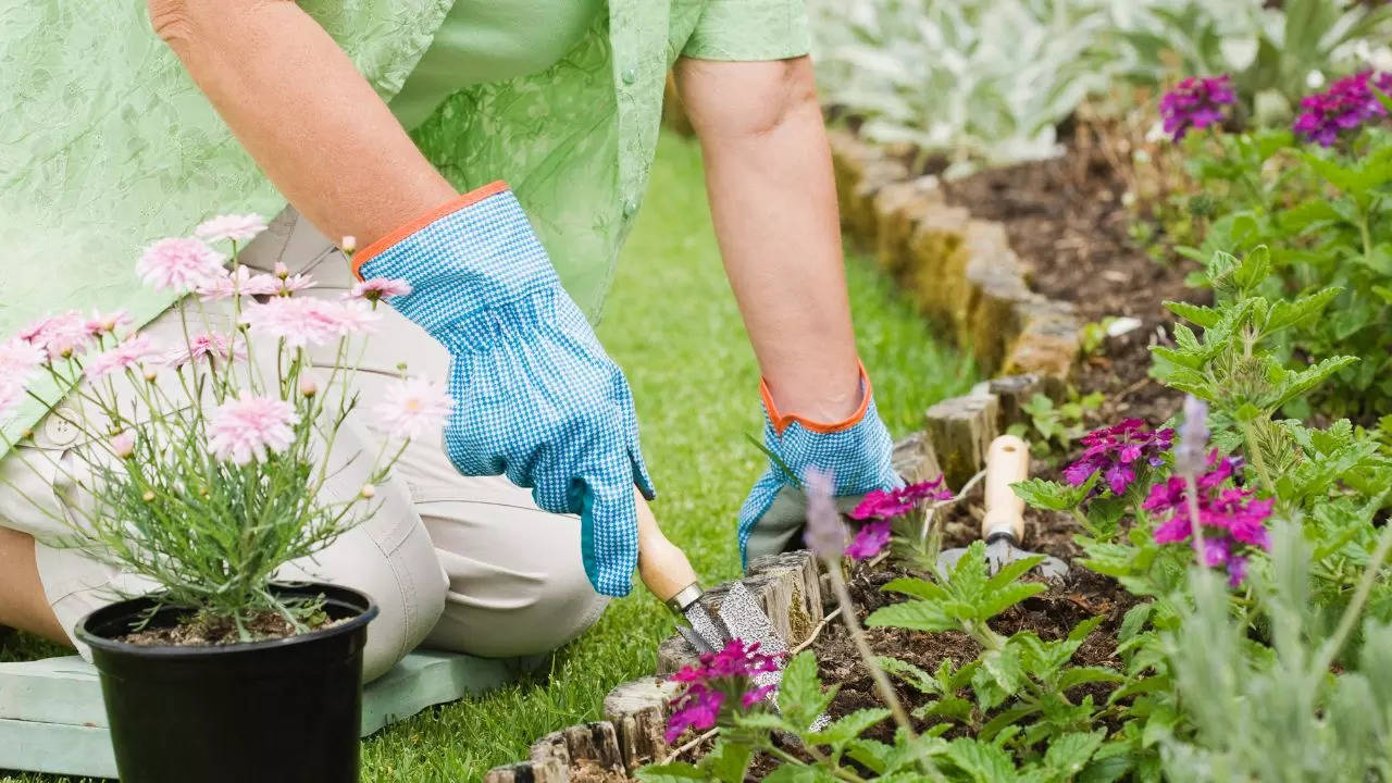 6 diseases one can acquire while gardening