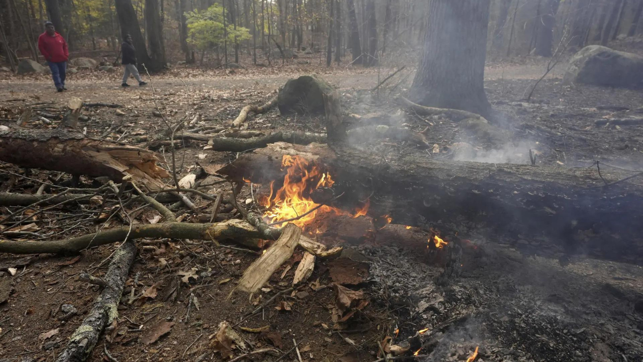 New York Parks employee dies while battling wildfire in Orange Country