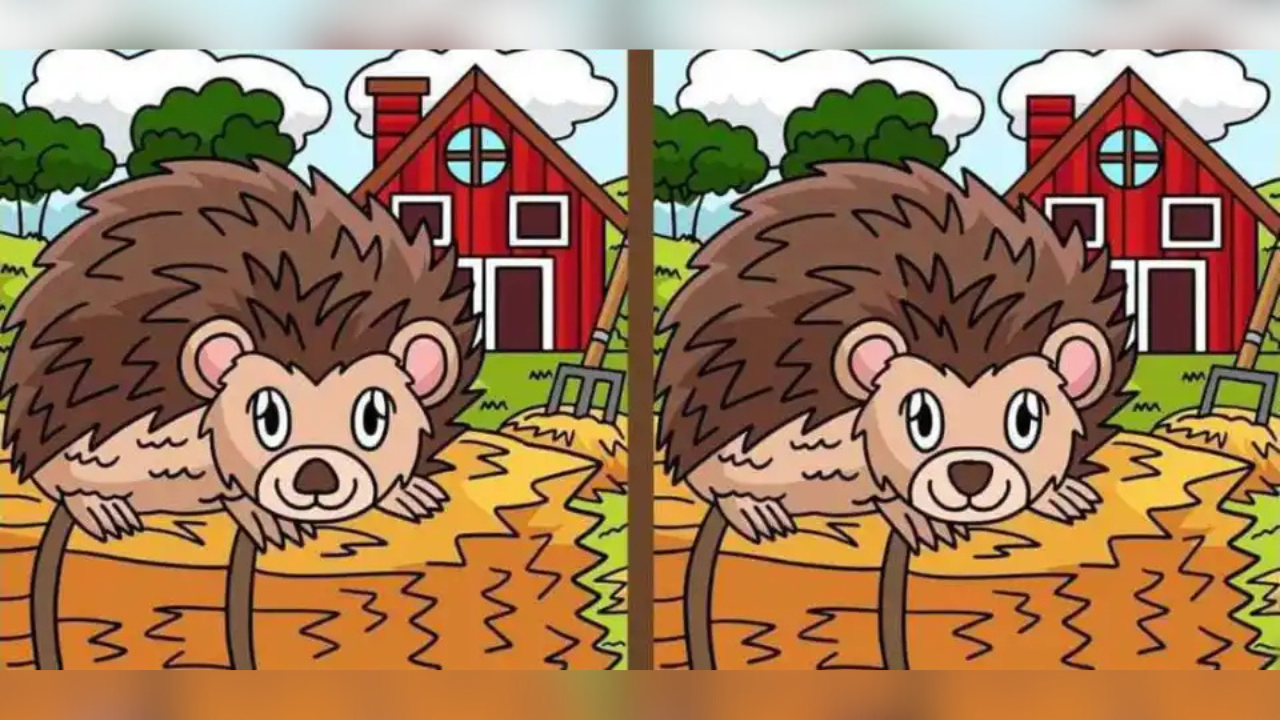 Optical illusion: Only people with excellent eyesight can spot the 3 differences in 11 seconds