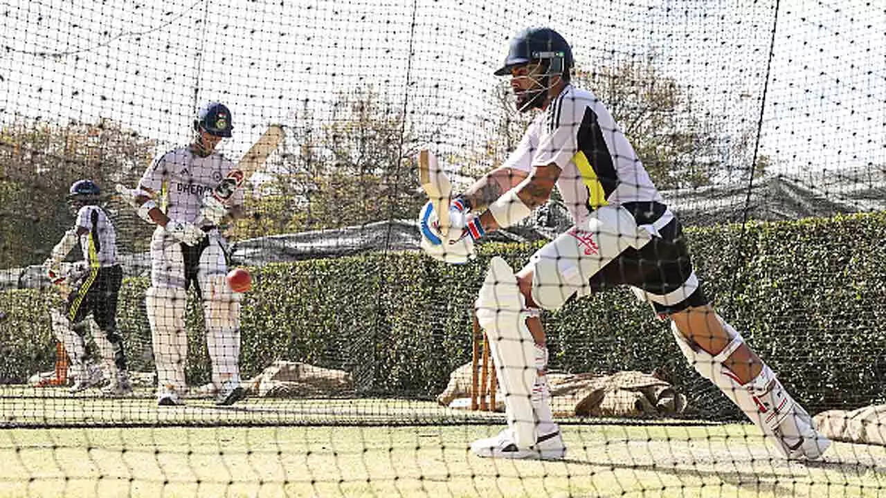 Watch: Fans climb trees to catch glimpse of Virat Kohli