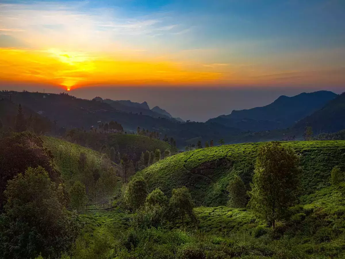 Escape to Ooty: 5 must-visit spots for a perfect quick getaway