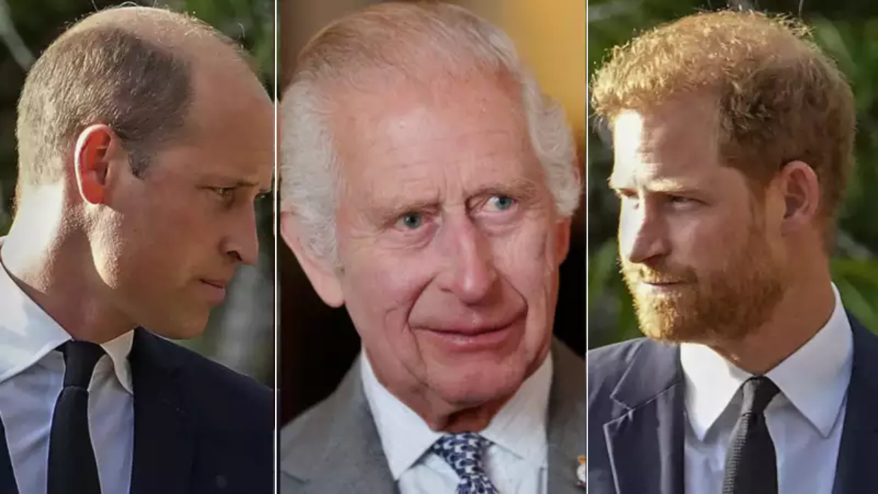 King Charles can't have 'unilateral' talks with Prince Harry if Prince William is 'not' in agreement: Royal author