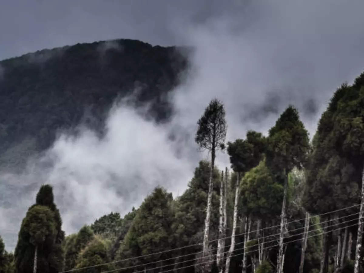 A quick guide to the Sandakphu trek in West Bengal