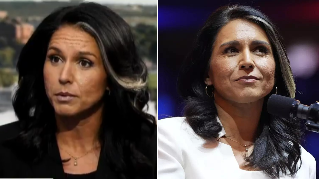 Democrat Wasserman Schultz calls Tulsi Gabbard a 'Russian asset,' sparking widespread backlash