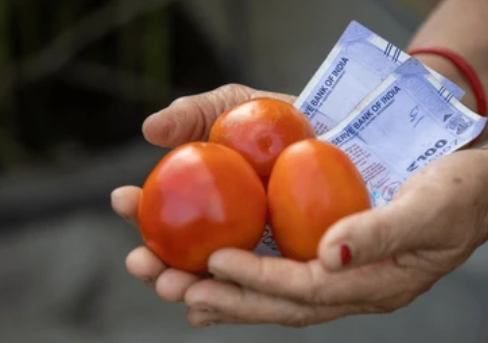 Tomato prices drop by more than 22% as supply improves