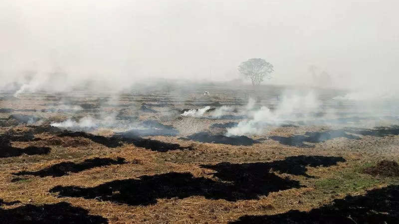 Delhi pollution: Are Punjab-Haryana farmers hiding fires from satellites?