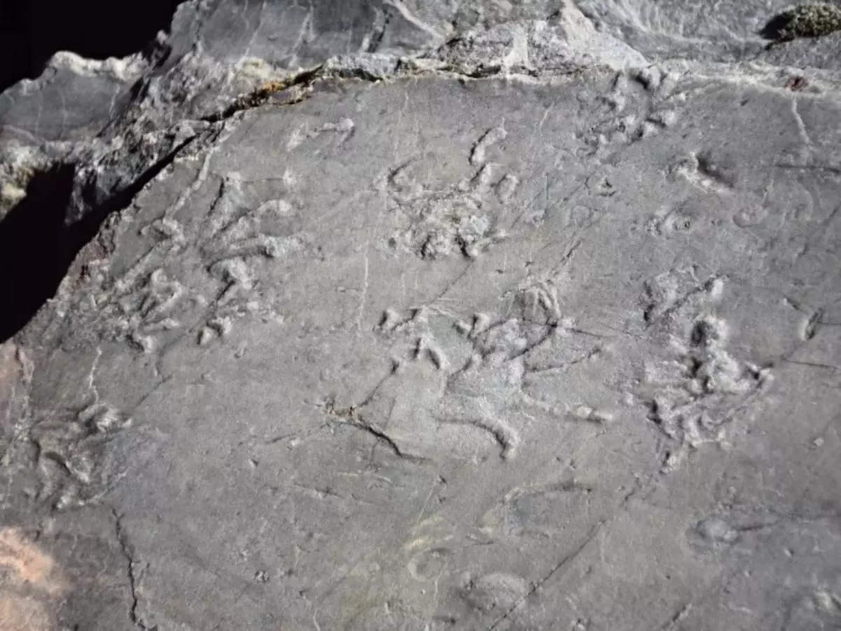 Melting snow in the Italian Alps unveils 280-million-year-old prehistoric fossils