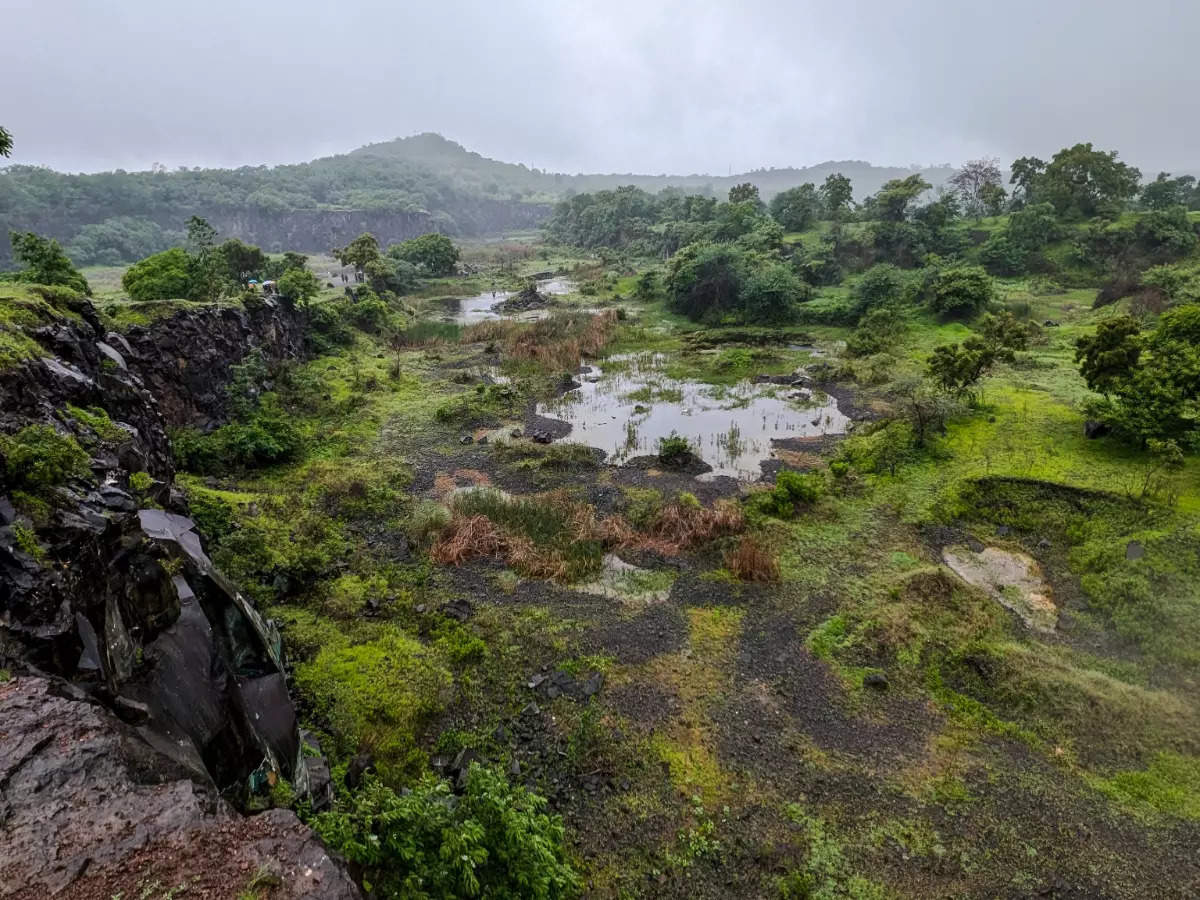 Pune, Maharashtra: Come for the rarities, stay back for the joy of birding!