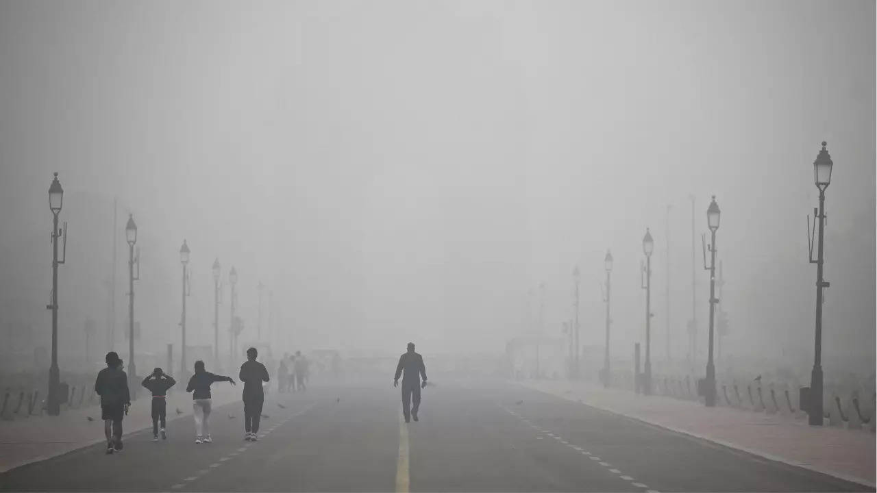 Delhi air pollution crisis discussed at COP29 sidelines