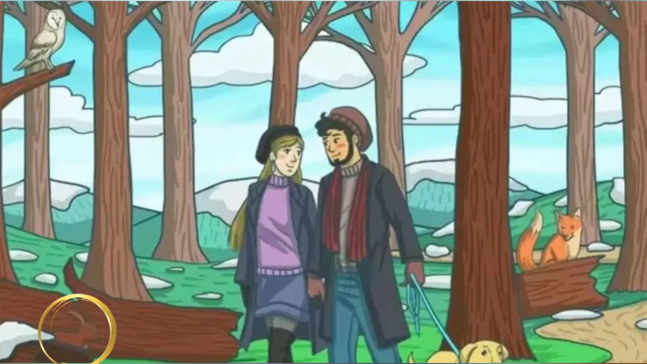 optical  illusions (1)
