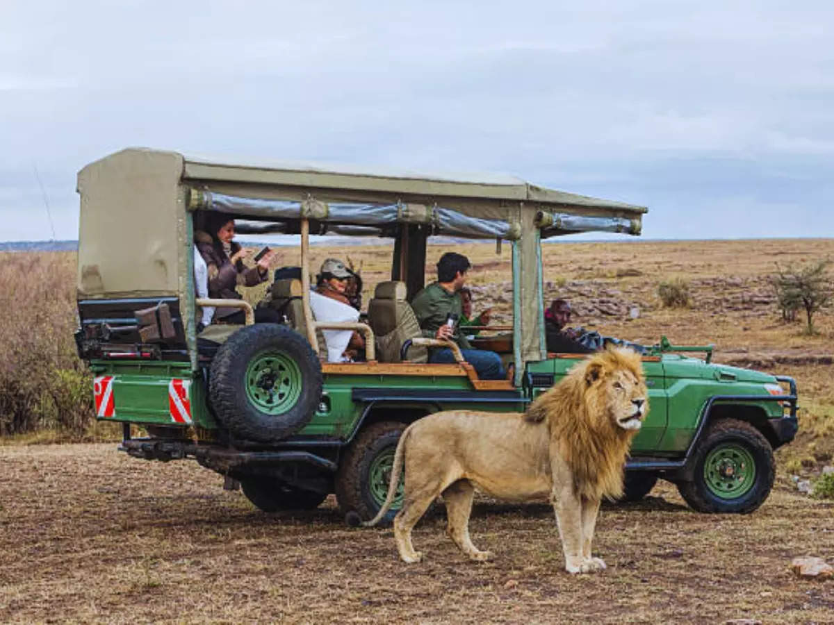 9 incredible ways to see Kenya like a pro