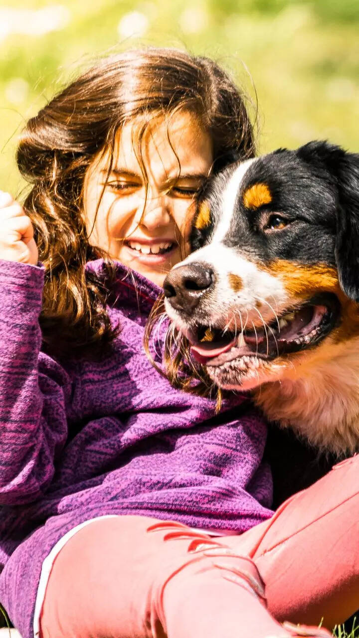 8 friendly pet dog breeds suitable for children
