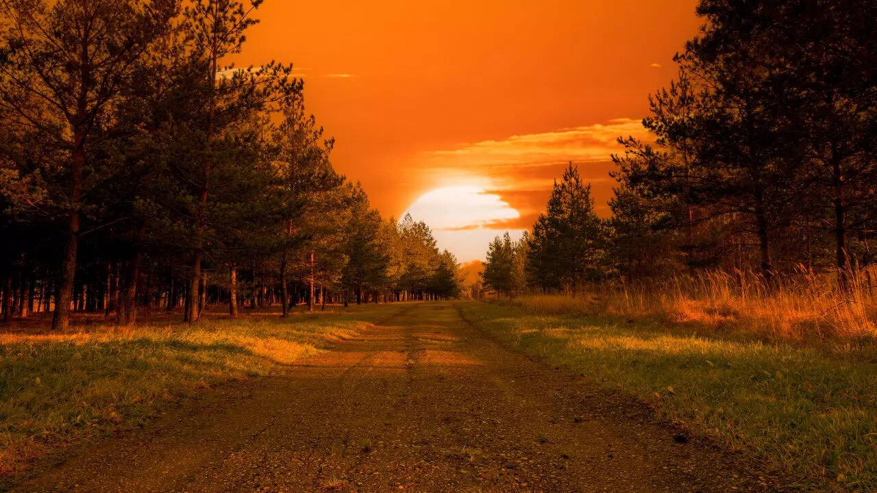 7 things one should not do after sunset