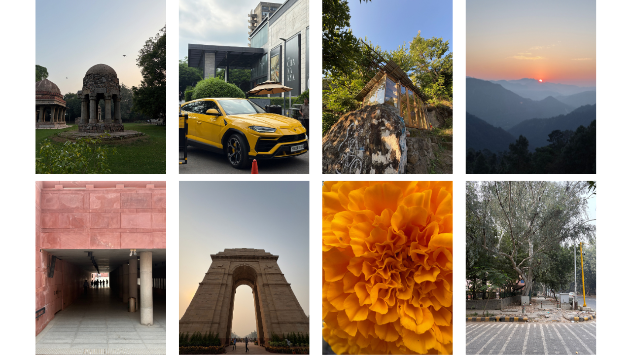 A compilation of all the pictures I clicked in daytime