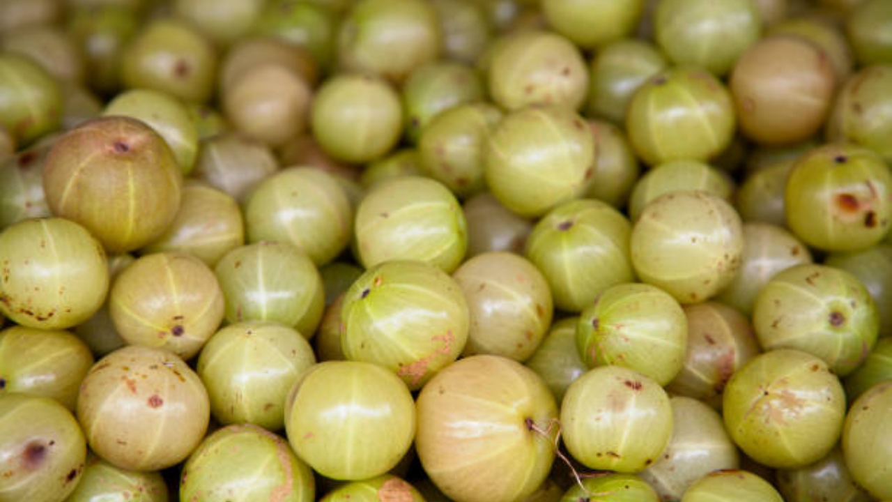 Decoding nutrients of amla (Indian gooseberry)